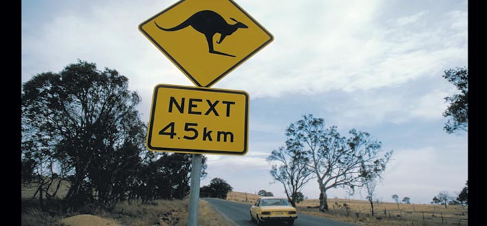 Australia Kangaroo Sign