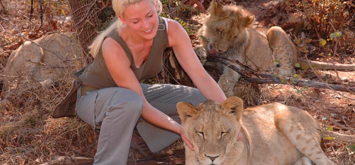 Zambia Lion Petting