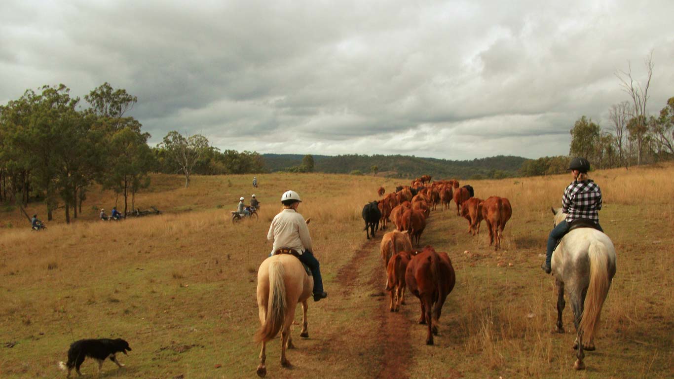 Farm & Travel Australia