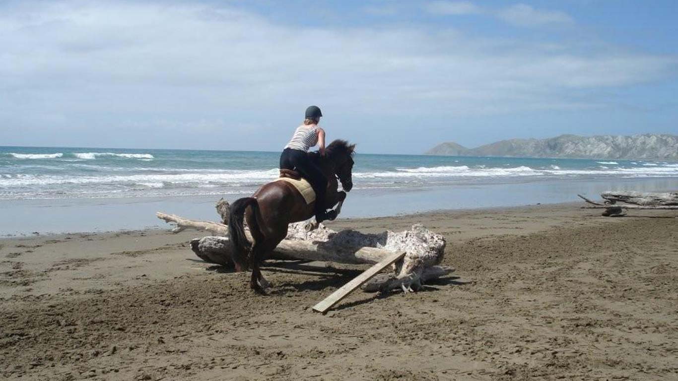 Ranchstay New Zealand